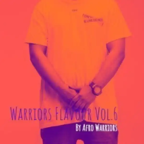 Afro Warriors - Warriors Flavour Volume. 6